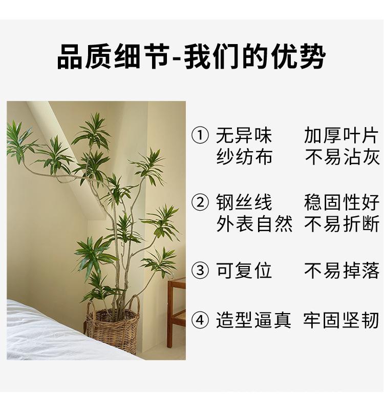 详情_06.jpg