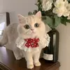 Babero de Gato Babero de Princesa Toalla para Saliva Perro Lindo Lazo Decorativo para Mascota Bufanda con Lazo Gradiente Dorado y Plateado