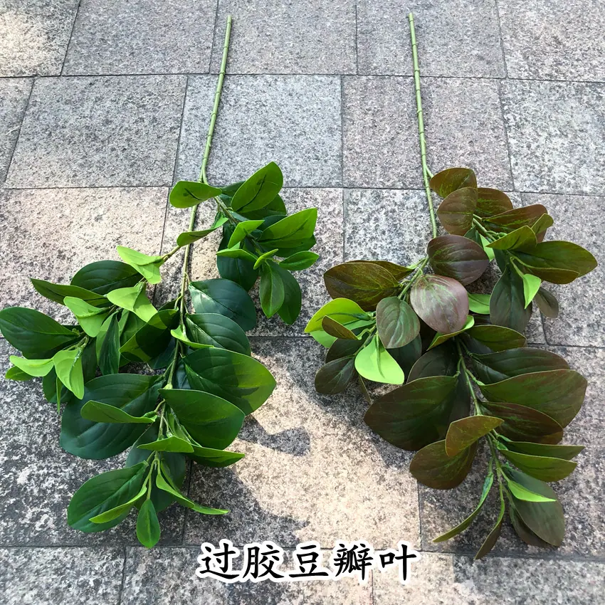1_副本.jpg