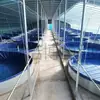 Lámina Galvanizada Lienzo Estanque de Peces Estanque de Acuicultura Paño Rasqueta Estanque de Peces Estanque de Camarones Estanque de Sanguijuelas Embalse de Huerto