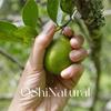 Aceite esencial de lima italiana lima aromaterapia importada cítrico planta cuidado de la piel aceite de masaje materias primas al por mayor