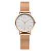 Reloj de Mujer Sk Nicho de Alta Gama Correa de Malla Reloj de Mujer Reloj de Cuarzo Resistente al Agua Reloj de Exportación Transfronteriza Reloj de Mujer