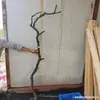 Galhos Secos, Galhos de Árvore Descascados, Arranjos de Flores, Troncos, Arte, Galhos Secos, Galhos Mortos com Galhos, Troncos de Árvore, Galhos de Árvore Criativos, Decoração de Teto