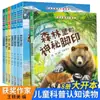 Todos os 16 maravilhosos livros ilustrados sobre a popularização da ciência da natureza, iluminação, livros infantis de 3 a 6 anos, leitura, educação infantil, livros de histórias, pintura para bebês