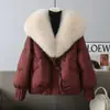 Casaco de Algodão com Enchimento Grosso e Gola Grande de Pelo, Jaqueta de Algodão Nova de Inverno, Jaqueta de Algodão Curta Estilosa e Rejuvenescedora para Mulheres