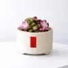 Conjunto fofo de plantas de interior para mesa para jardim de infância, fácil de cultivar e cuidar, pequenas plantas em vasos