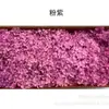 Flores de Hortensia Secas con Degradado Grande Hortensias Conservadas Cabezas de Flores Grandes Color Mixto Multicolor Hortensias Secas Decoración del Hogar Materiales Florales