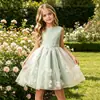 Vestido Infantil Amazon Vestido Colete Sem Mangas com Flores Tridimensionais Estilo Europeu e Americano Vestido Princesa Infantil Vestido de Tule em Estoque