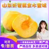 Selección PremiumMelocotones Amarillos Yimeng de Shandong - Entrega Directa 1.5 kg Melocotones Miel de Pulpa Amarilla Frescos de Temporada, Frutas Recién Recolectadas
