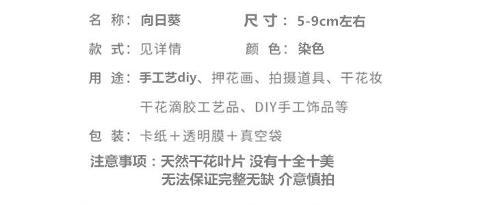 向日葵.png