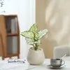 Ins Jiuli Escandinavo Planta Verde Fragante en Maceta Florales Oficina Sala de Estar Escritorio Interior Adornos Purificar el Aire y Eliminar Formaldehído