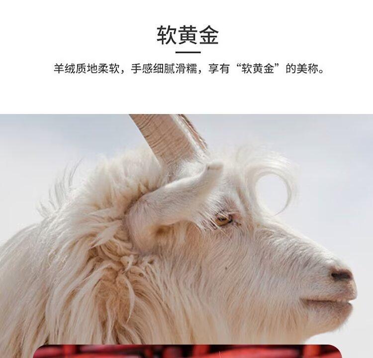 详情04.jpg