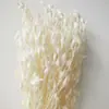 Flor eterna importada pasto de mosca fábrica mayoreo arreglo floral ramo planta decoración hogar