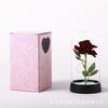 Flor Preservada Cubierta Acrílica Rosa Lámina de Oro 520 Día de la Madre Navidad Día de San Valentín Regalo Adorno Regalo Festivo
