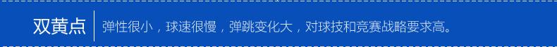 壁球_12