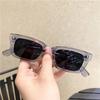 Óculos de Sol Cat-Eye Tartaruga, Proteção Solar, Proteção UV, Óculos Tendência Estilo de Rua, Óculos de Sol Armação Pequena Estilo Americano Hot Girl
