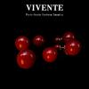 Pendientes Perla Roja de Angola Pendientes de Uva Celebridad de Internet Vidrio Caliente vintage Vintage Otoño e Invierno Pendientes Nuevos