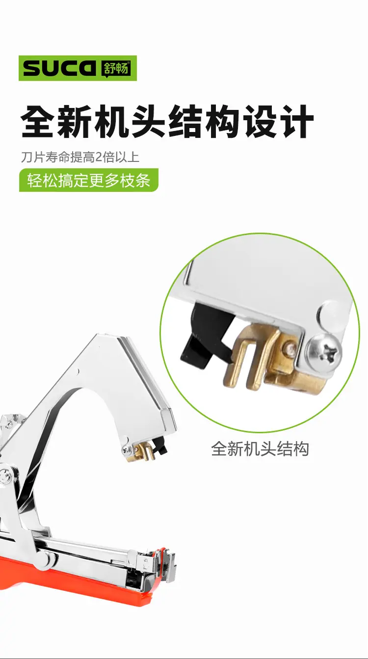 8105红透_08.jpg