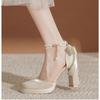 Zapatos de Plataforma de Tacón Alto Impermeables Mary Jane para Mujer con Tacón Grueso Hebilla Huecos Suela Gruesa Sandalias de Punta Zapatos para Combinar con Faldas de Cara de Caballo