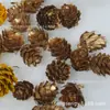 Pinha de Mori Fruta Seca Guirlanda de Rattan de Natal Bolota Flor Seca Lascas de Madeira Material de Decoração DIY Feito à Mão