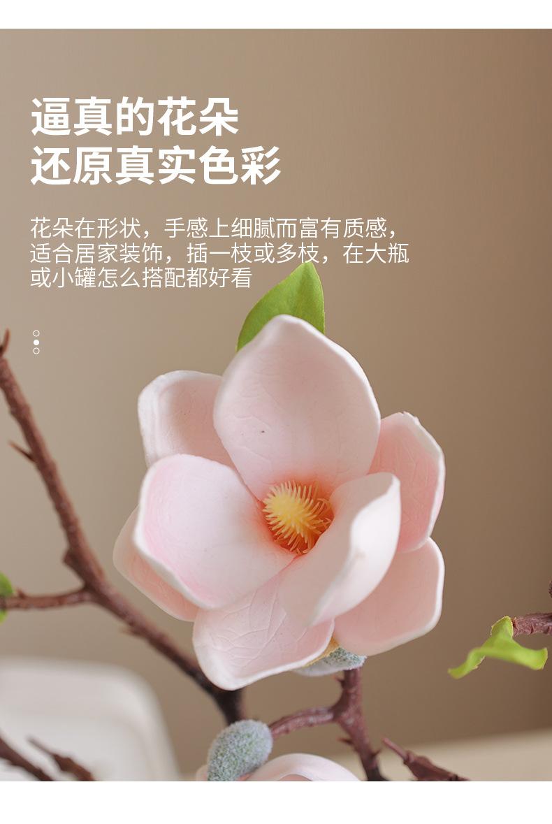 唯爱小玉兰_05.jpg