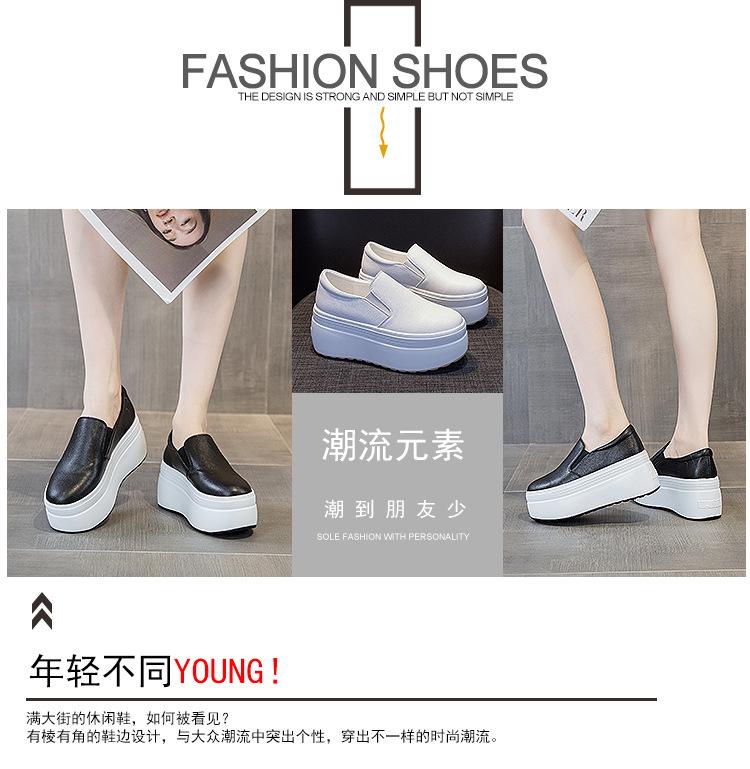 88778详情页_05.jpg