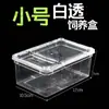 Caja Cuadrada Profesional Grande Mediana Pequeña Caja Cuadrada Árbol de Cría Caja Pequeña Mediana Doble Abierta Tamaño Pequeño Percha Cuadrada Pequeña Araña de Escape Reptil Escoria