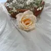 Cabeça de Rosa Artificial para DIY, Corsage, Acessórios de Cabelo, Flor Artificial, Rosa de Flanela, Decoração de Casamento, Cabeça de Rosa Acácia
