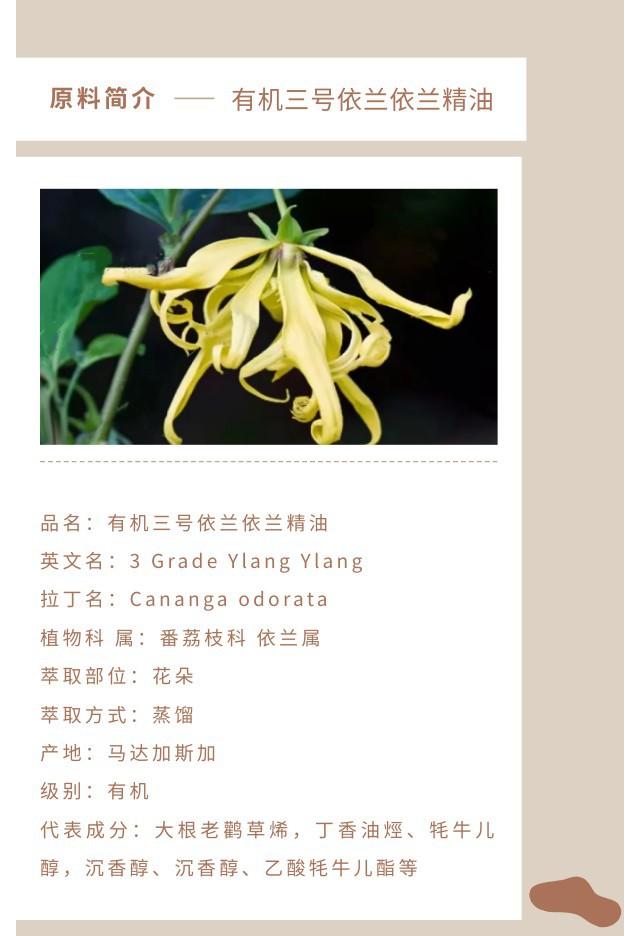 三号依兰精油.jpg