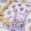Bolsa de adesivos PET de pássaros italianos série Nancheng florescence pequeno fresco retrô planta barraca de mão cartão goo adesivos decorativos diy