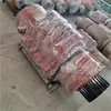 Ensamblaje de Eje de Piñón Forjado, Tratamiento de Endurecimiento de la Superficie del Diente del Piñón para Piezas de Máquinas Transportadoras
