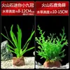 Accesorios de decoración para acuarios para plantas acuáticas, oxigenador centípedo hidropónico, juego de rocas volcánicas, adecuado para pez tigre pequeño