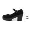 Estilo Novo Inverno 2025 Sola Grossa Salto Bloco Retrô Versátil Camurça Sapatos Mary Jane Direto do Fabricante para Exportação Sapatos Femininos Transfronteiriços