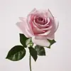 Flor Artificial de Rosa Corolla Hidratante de Alta Calidad al Tacto, Accesorios para el Hogar, Disparo, Arreglo Floral con Flores de Mano