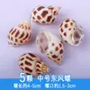 Conchas Marinas Naturales Conchas de Cangrejo Ermitaño Conchas de Caracol Marino Reemplazo Conchas Especiales DIY Paisajismo de Acuario Set de Decoración para Acuario