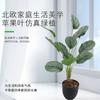 Planta de Simulación Flor Falsa Sala de Estar Maceta Centro Comercial Vestido Suave Paisaje Planta Verde Hoja Escena Hoja de Manzana con Raíz Hidroponía