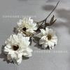 Nueva simulación de flores de dalia 3 Dalia boda salón de bodas fondo suave camino plomo arreglo floral flores de comercio exterior