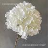 256 piezas de flores de hortensia grandes simuladas encriptadas boda boda pared de fondo decoración de bola de flores diámetro 20cm hortensia floral