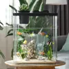 Aquários Pequenos de Mesa Cuidadosamente Selecionados, Mini Aquários Ecológicos para Paisagismo, Aquários para Peixe Betta de Mesa de Escritório, Aquários para Peixe Dourado, Tanques de Cultivo Hidropônico