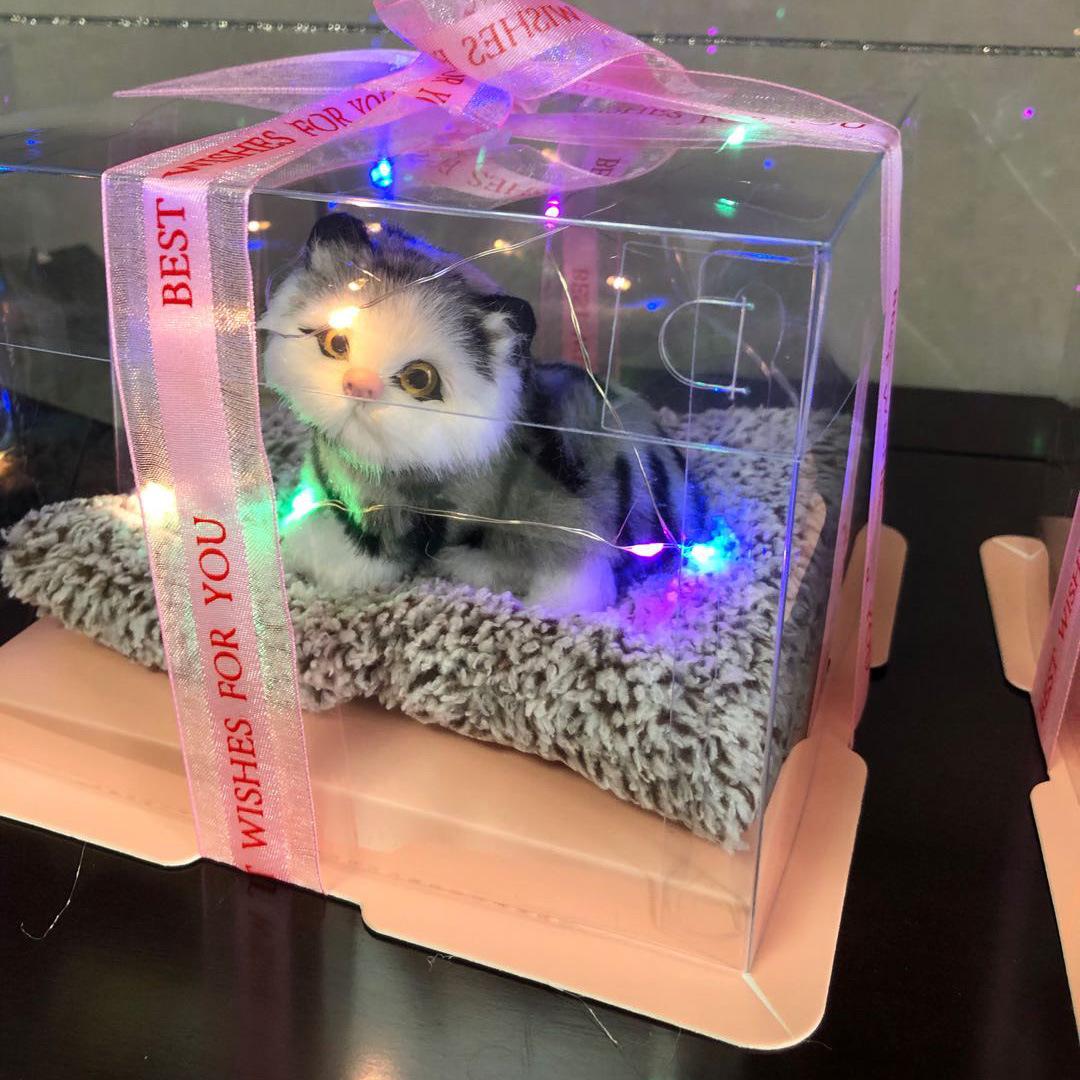 微信图片_2020061317312816