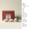 Juego de té Kung Fu de sandía temático de gatos creativos estilo chino Ichiyo Kishimatsu, un regalo lujoso y estéticamente agradable para el cumpleaños de un amigo