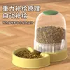 Bestseller transfronterizo: Comedero y bebedero automático para gatos, gran capacidad de 3.8L, alta transparencia, tazón de agua desmontable y lavable, artículos para mascotas