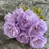 Ramo de flores de seda de peonía de 7 cabezas estilo nórdico para decoración del hogar, ramo pequeño, ramo de mano, decoración de boda, flores artificiales