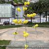 Flores Artificiales Amarillas para Boda Fabricante de Exportación Rosas y Hortensias Amarillo-Verdes para Boda Decoración Suave Muebles Flores Artificiales Al Por Mayor
