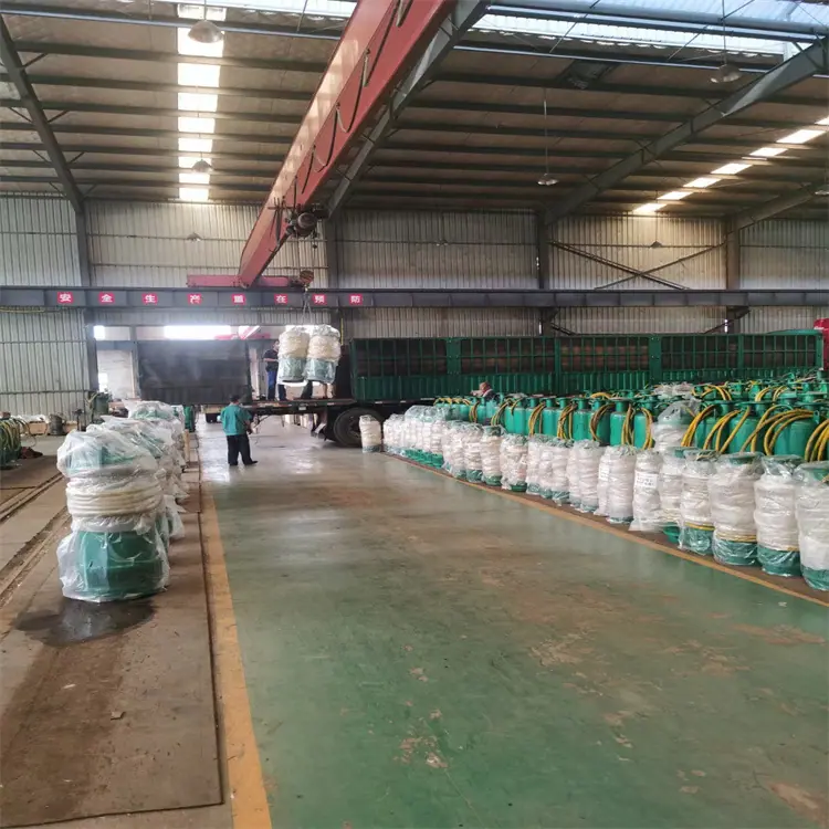 BQS240-100/2-132/N潜水泵 内装式电泵 使用寿命长 BQS排沙排污潜水泵