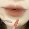 Lama Labial Aveludada Matificante Clareadora Baixa Saturação Rosa Cinza Brilho Labial Estudante Batom Fosco Maquiagem Atacado