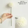Flores Artificiais Transfronteiriças da Amazon, Folhas de Eucalipto Artificiais, Galhos Curtos de Dólar Prateado, Folhas Decorativas, Plantas Verdes Simuladas, Folhas de Plástico