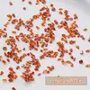 Mini Pedras de Strass para Nail Art com Zircônia e Revestimento Aurora, Decorações Pequenas Iridescentes Ultra-Brilhantes, Pedras de Strass Irregulares com Fundo Pontiagudo