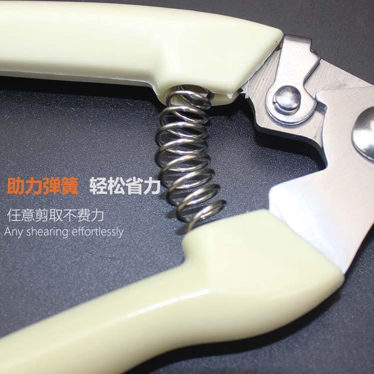 TB2xQ1WaSGFJuJjSZFuXXcAyFXa_!!