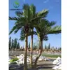 Coqueiro Falso Coqueiro Grande Tropical Outdoor Árvore Artificial para Paisagismo Planta Verde Arranjo de Paisagismo Palmeira Falsa Interna